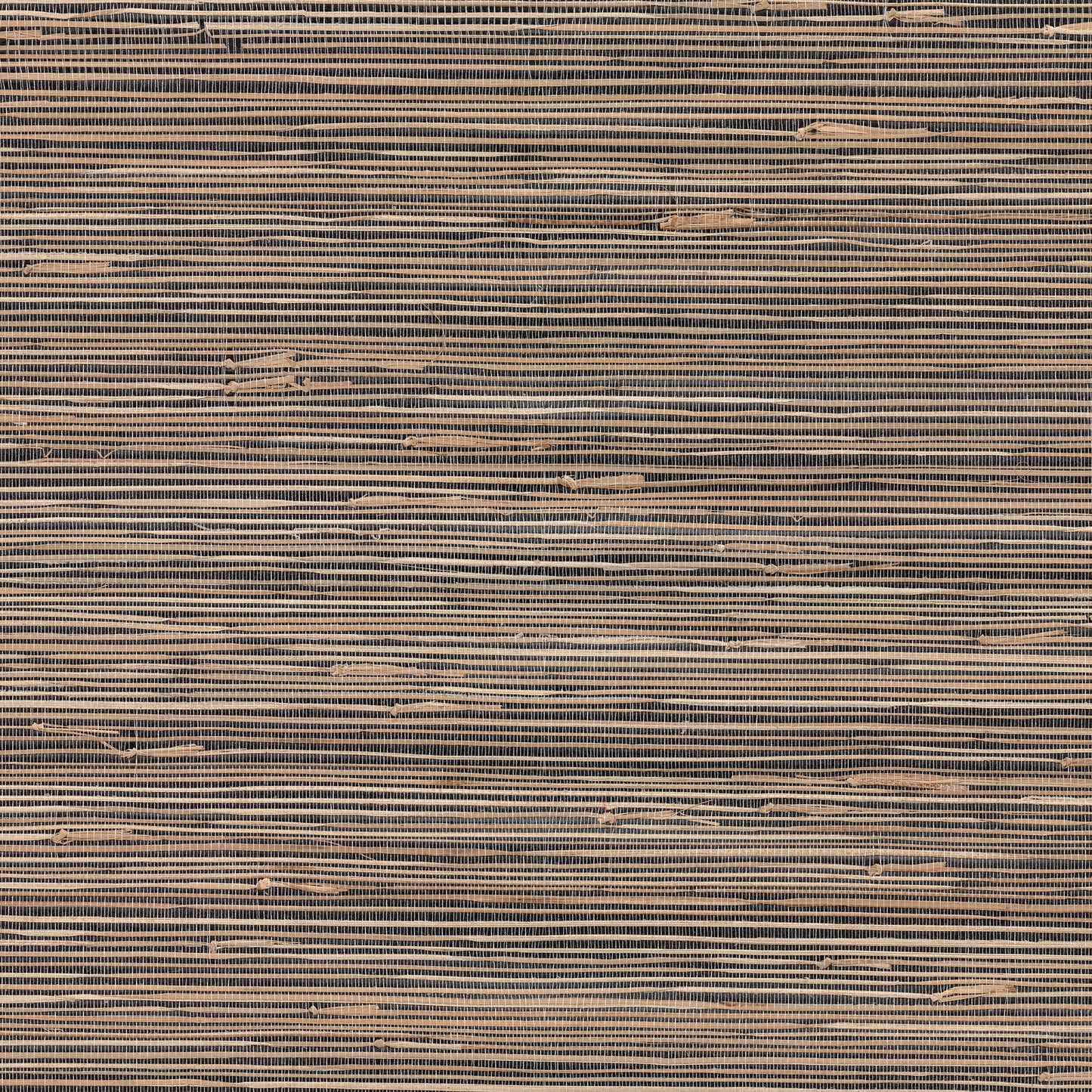 Anhui Grasscloth