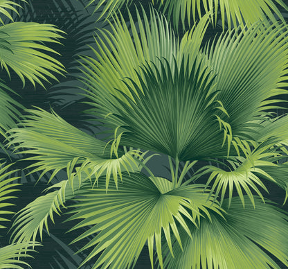 Summer Palm Tropical