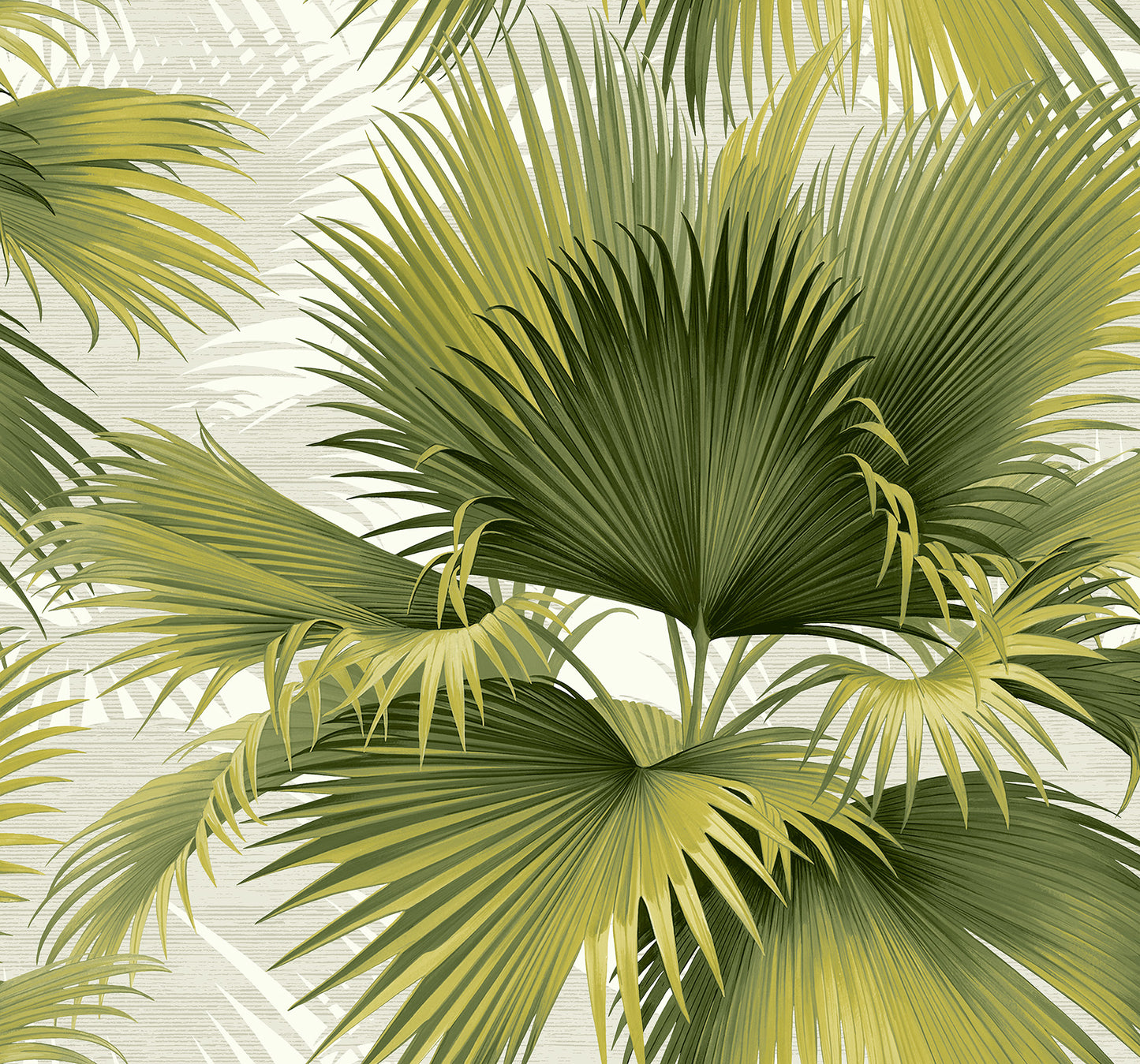 Summer Palm Tropical