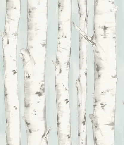 Pioneer Birch Tree