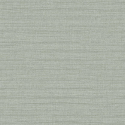 Horizontal Stria Texture