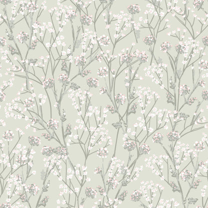 Blossom Branches