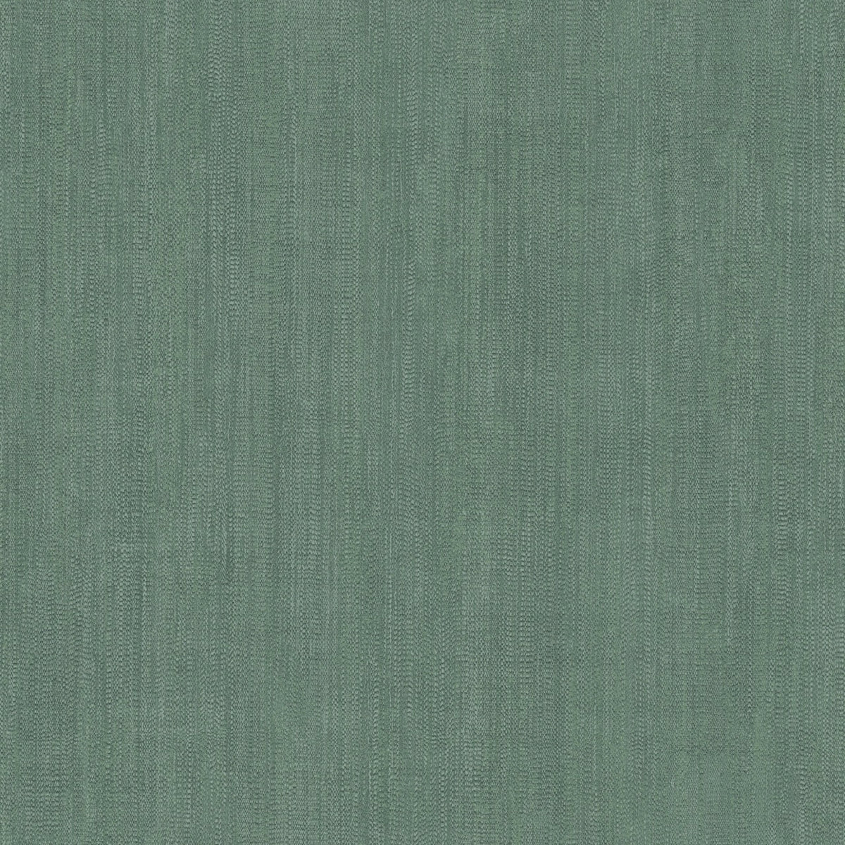 Allure Texture