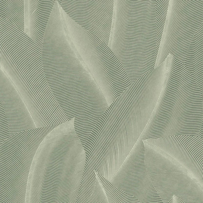 Allure Leaf
