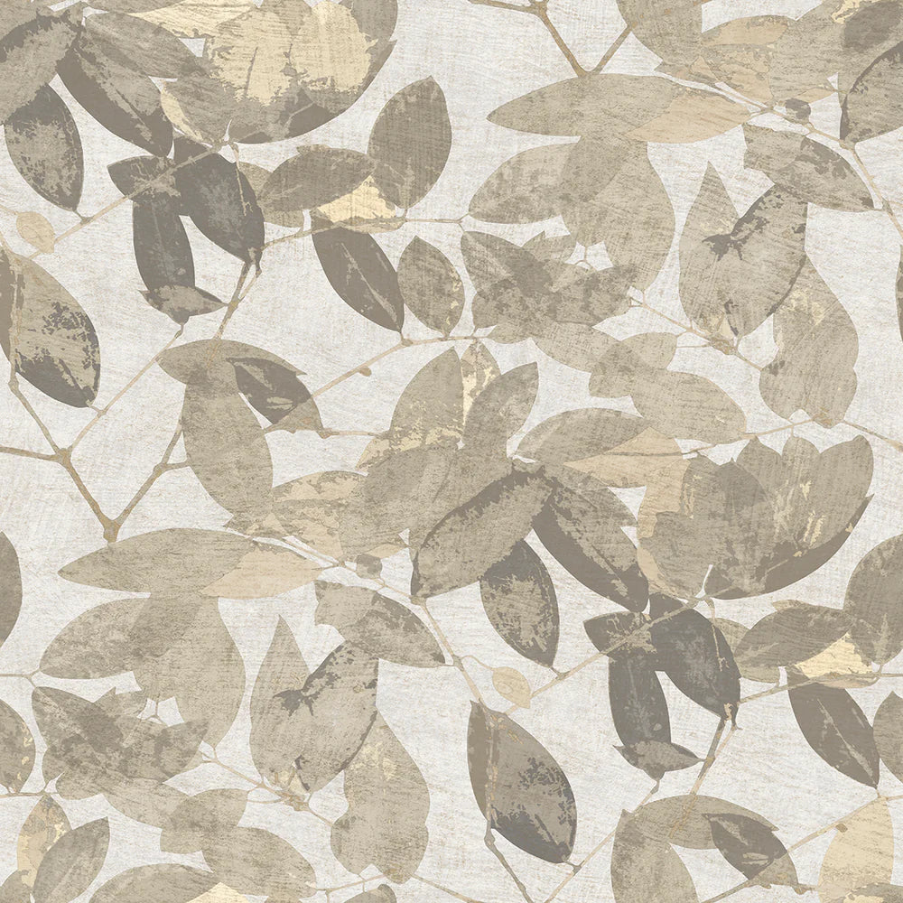 Beech Leaves