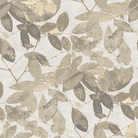 Beech Leaves