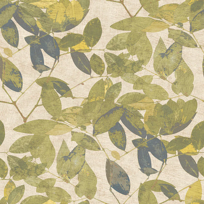 Beech Leaves