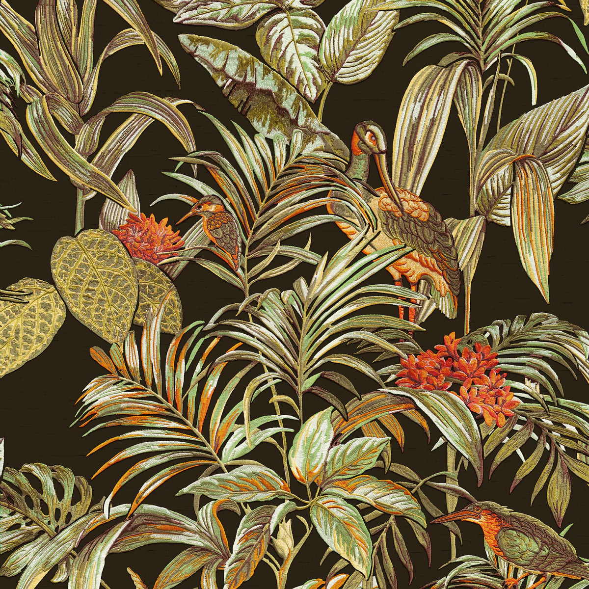 Bird of Paradise