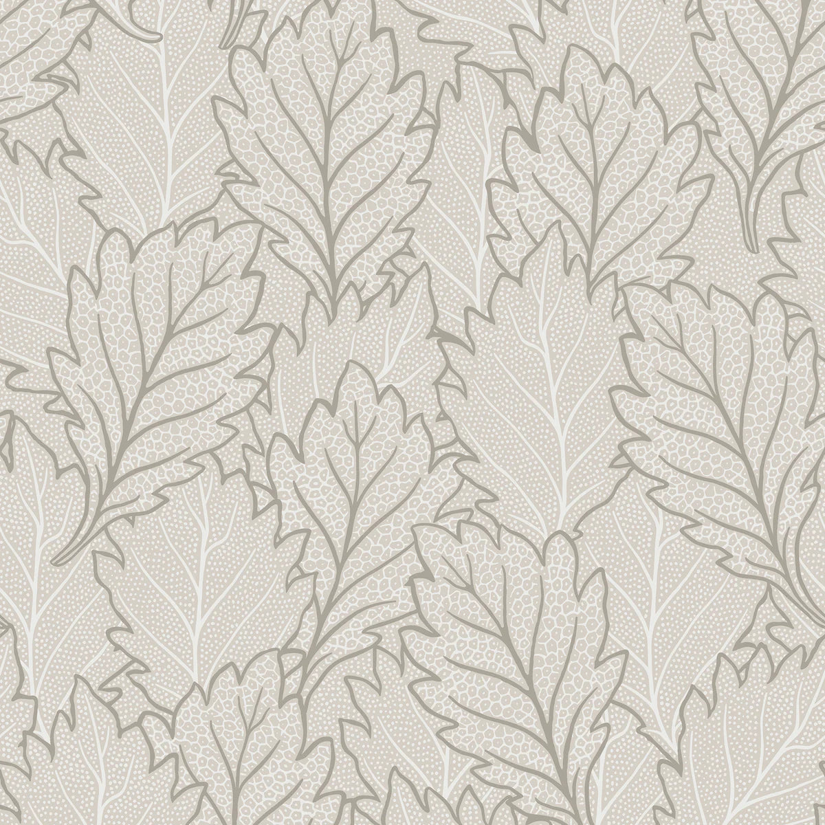 Quercus Leaves