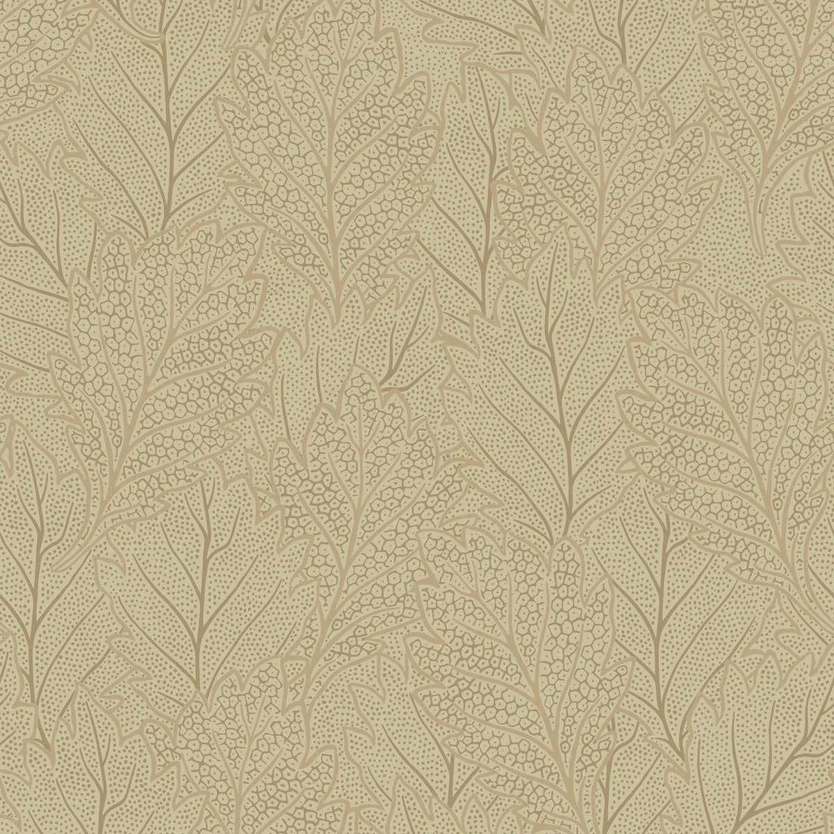 Quercus Leaves