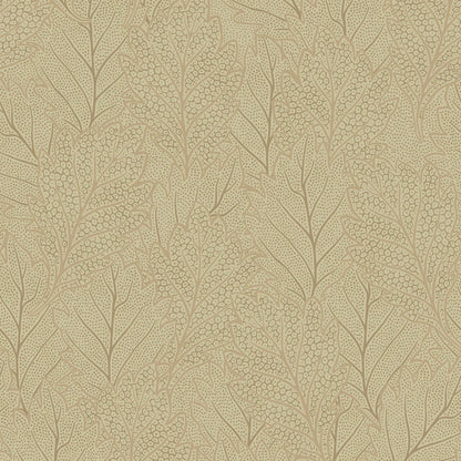 Quercus Leaves