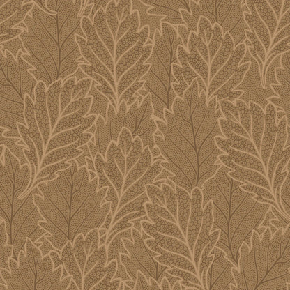 Quercus Leaves