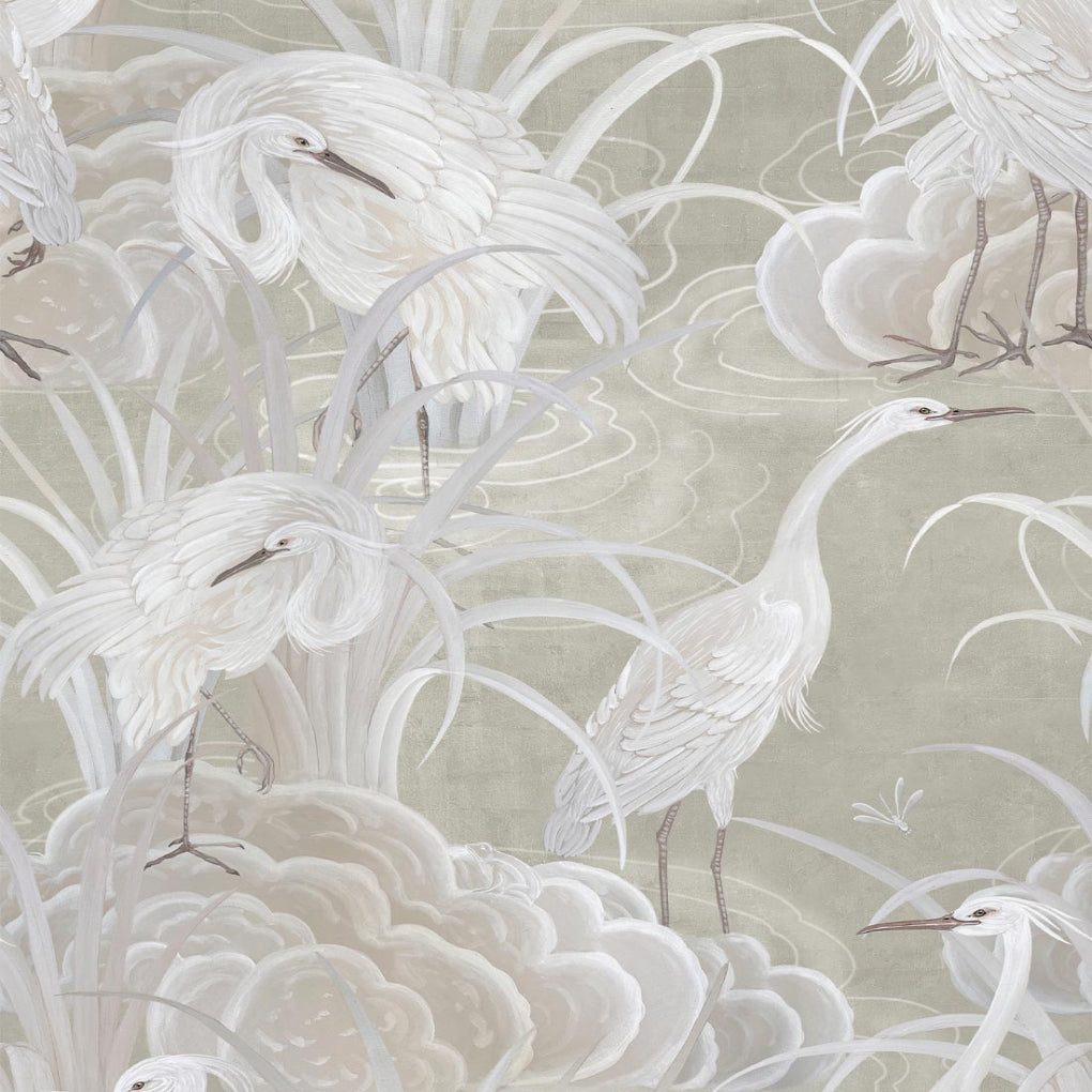 Water Birds