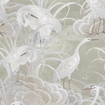Water Birds