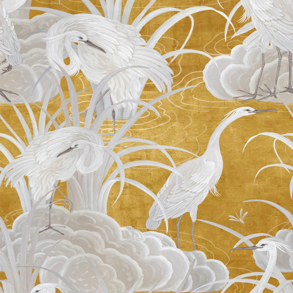 Water Birds