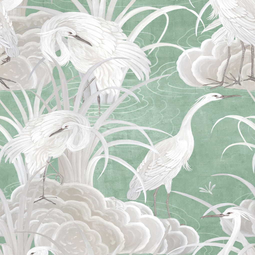 Water Birds