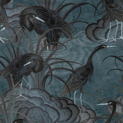 Water Birds