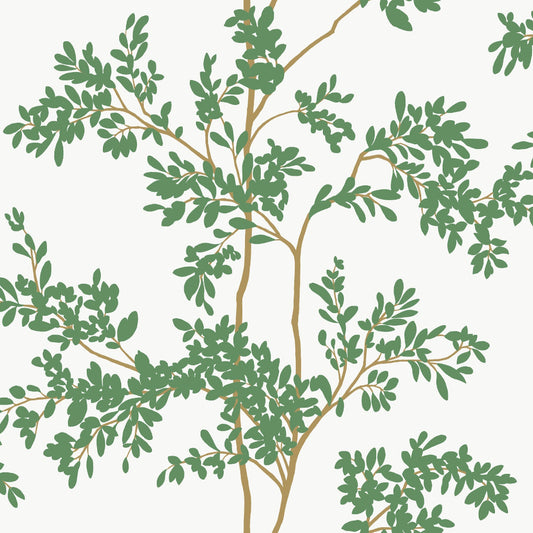 Lunaria Silhouette