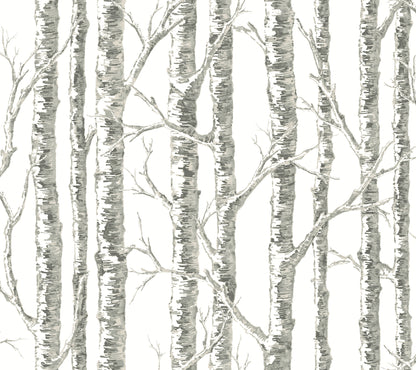 Paper Birch