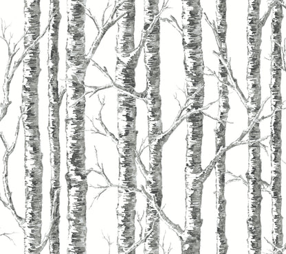 Paper Birch