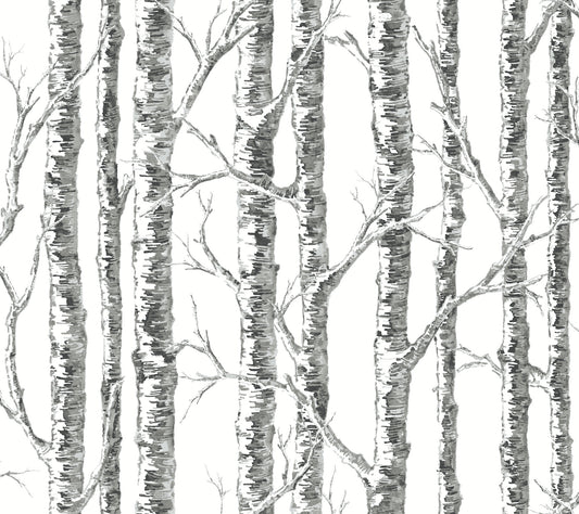 Paper Birch