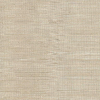 Plain Sisal Grasscloth