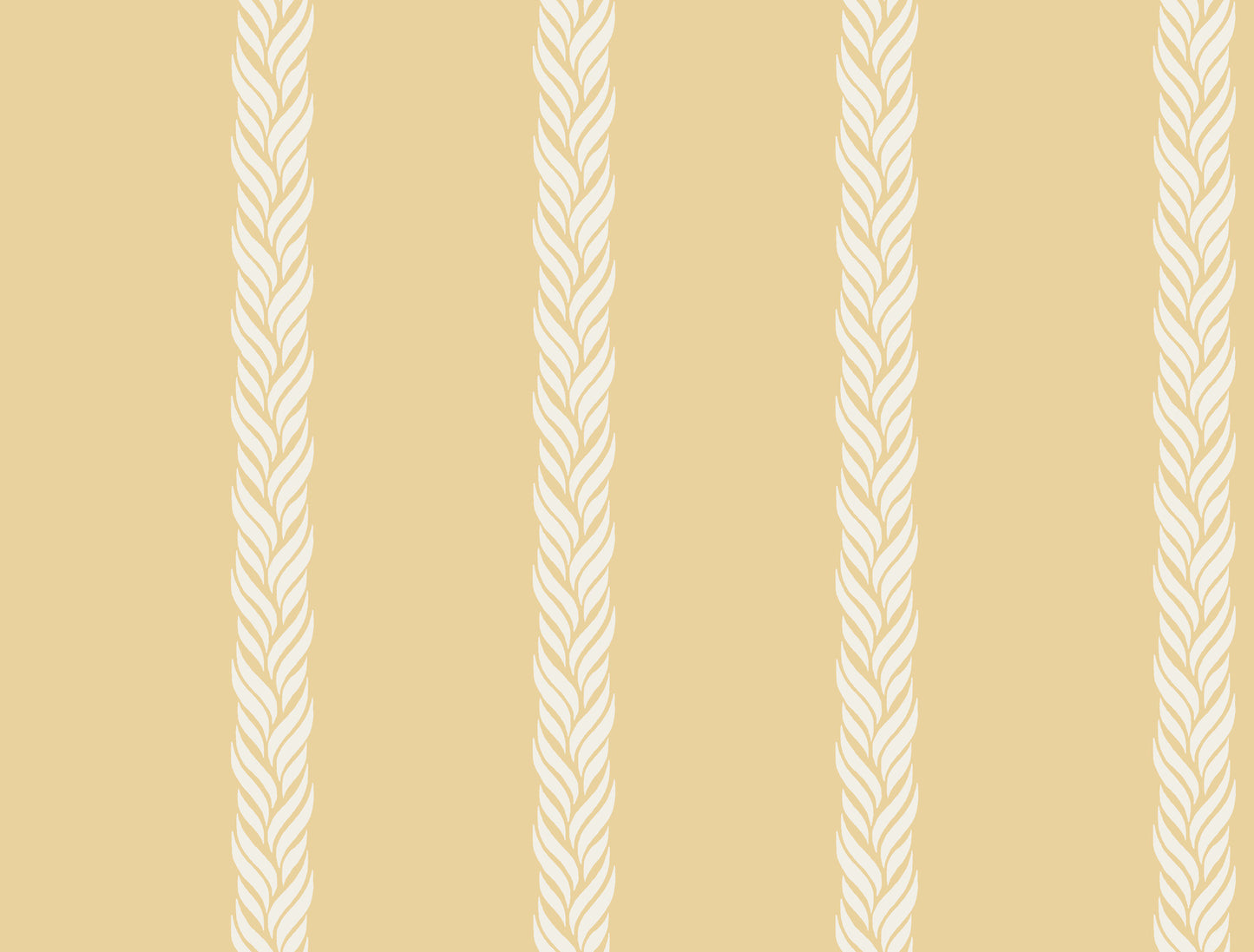 Braided Stripe