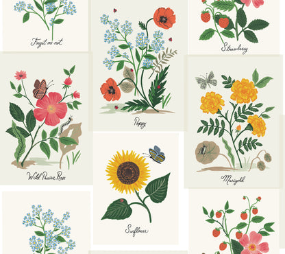 Botanical Prints