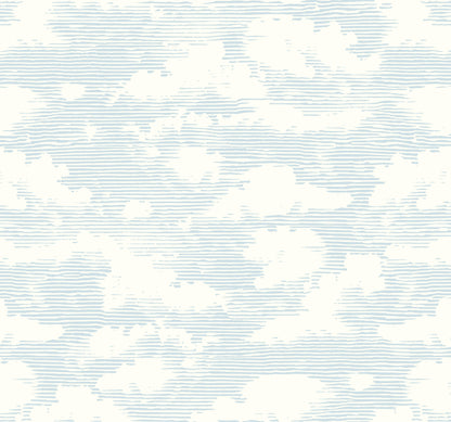 Cloud Cover