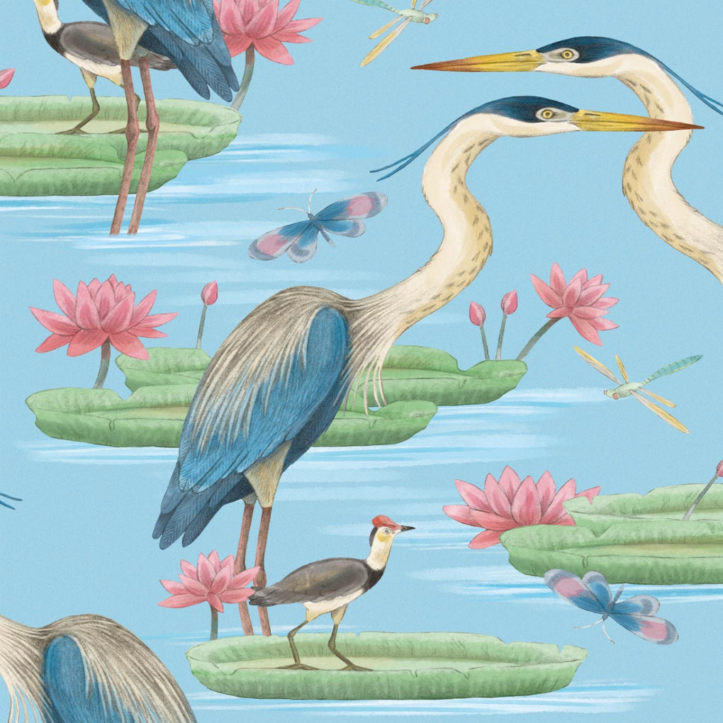 Herons Jacana & Giant Lilypads