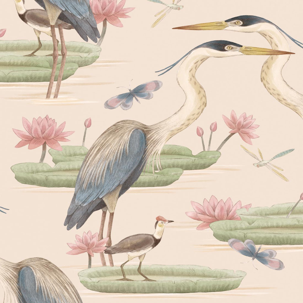 Herons Jacana & Giant Lilypads