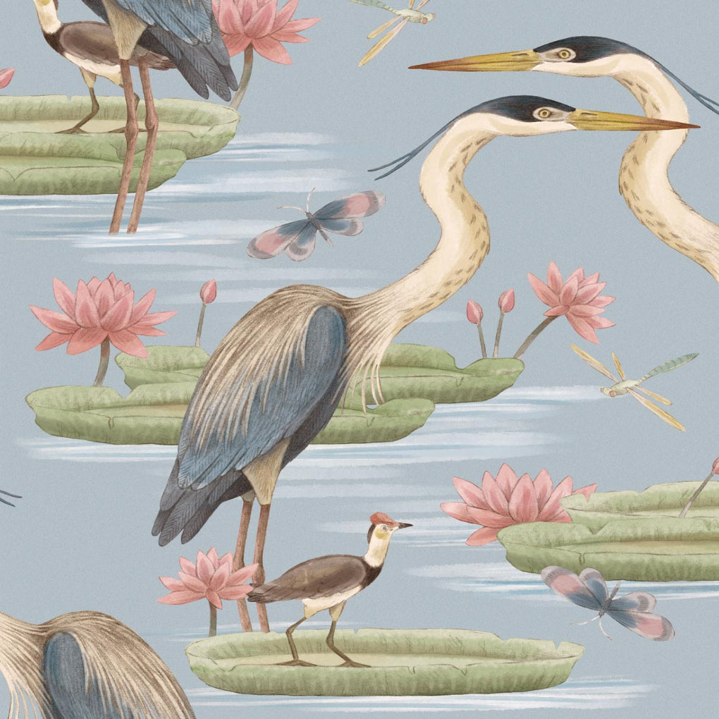 Herons Jacana & Giant Lilypads