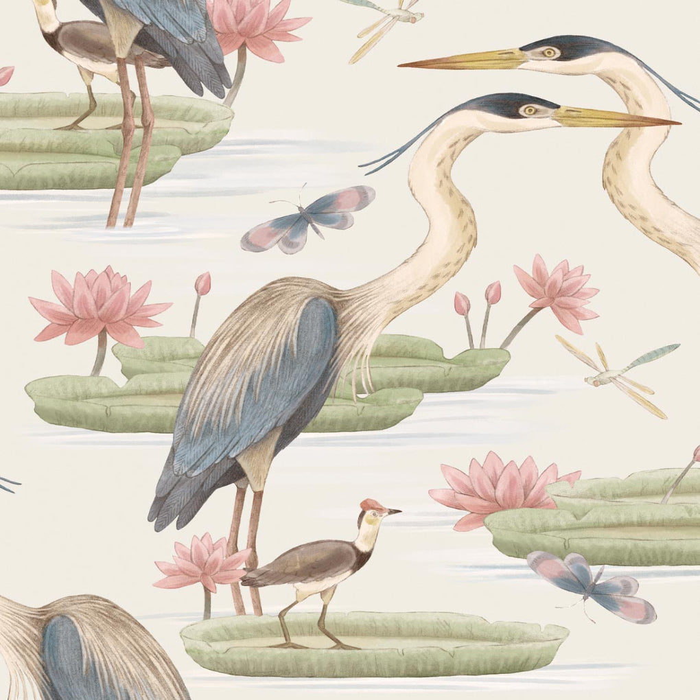 Herons Jacana & Giant Lilypads
