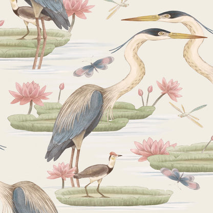 Herons Jacana & Giant Lilypads