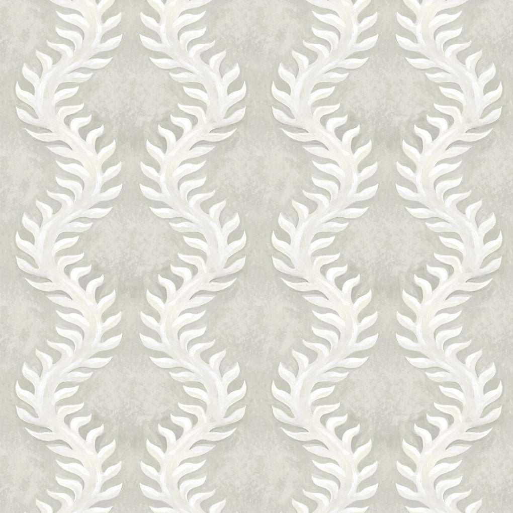 Fern
