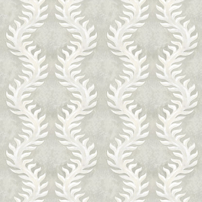 Fern