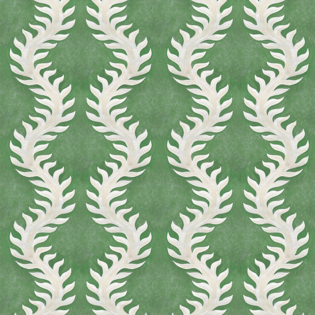 Fern