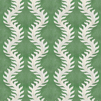 Fern