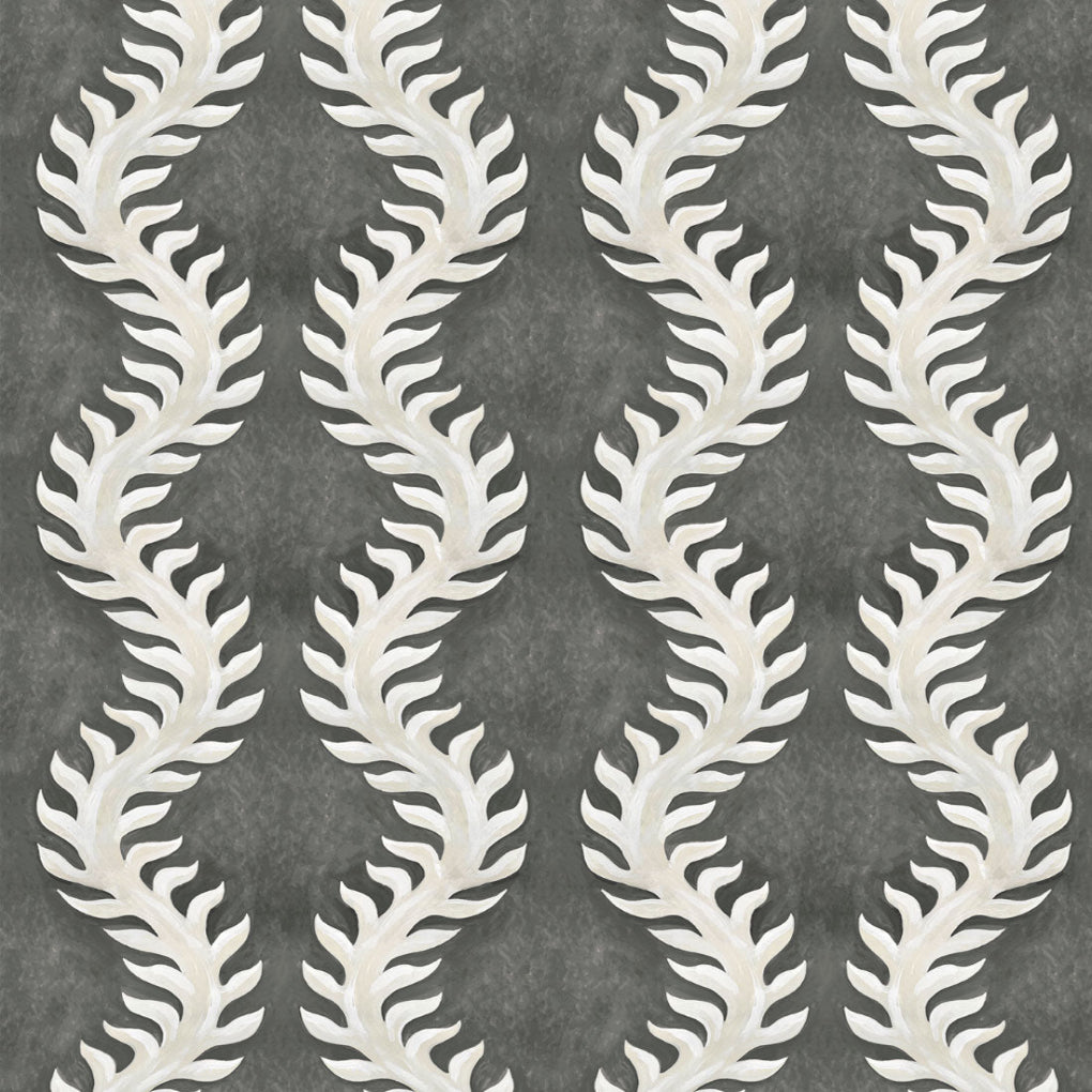 Fern