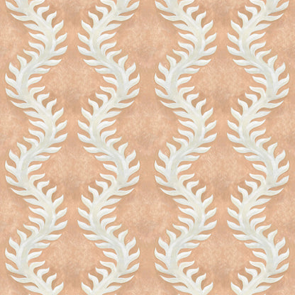 Fern