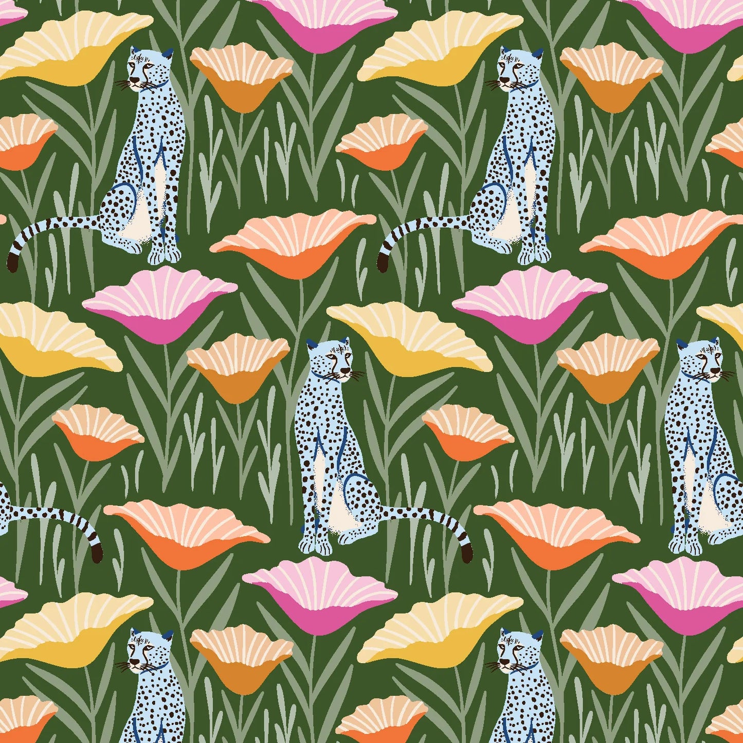 Cheetah