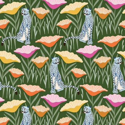 Cheetah