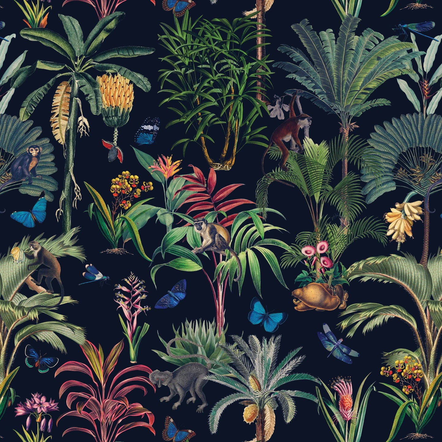 Tropical Jungle Monkeys