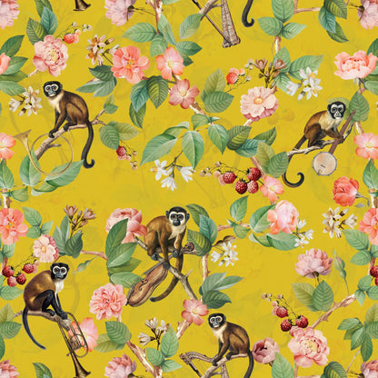 Musical Monkeys
