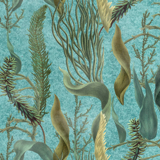 Aquatic Plants