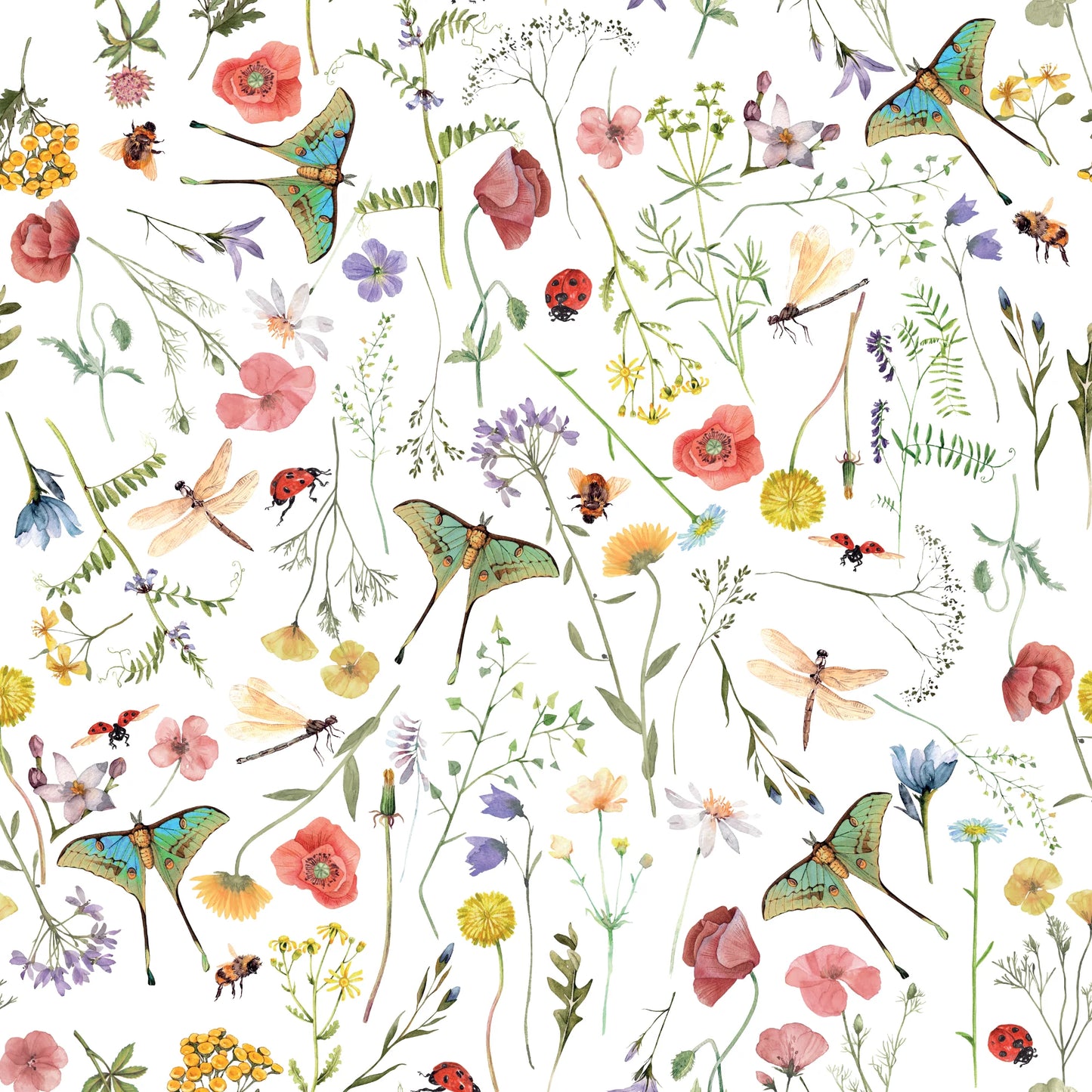 Whimsy Meadow