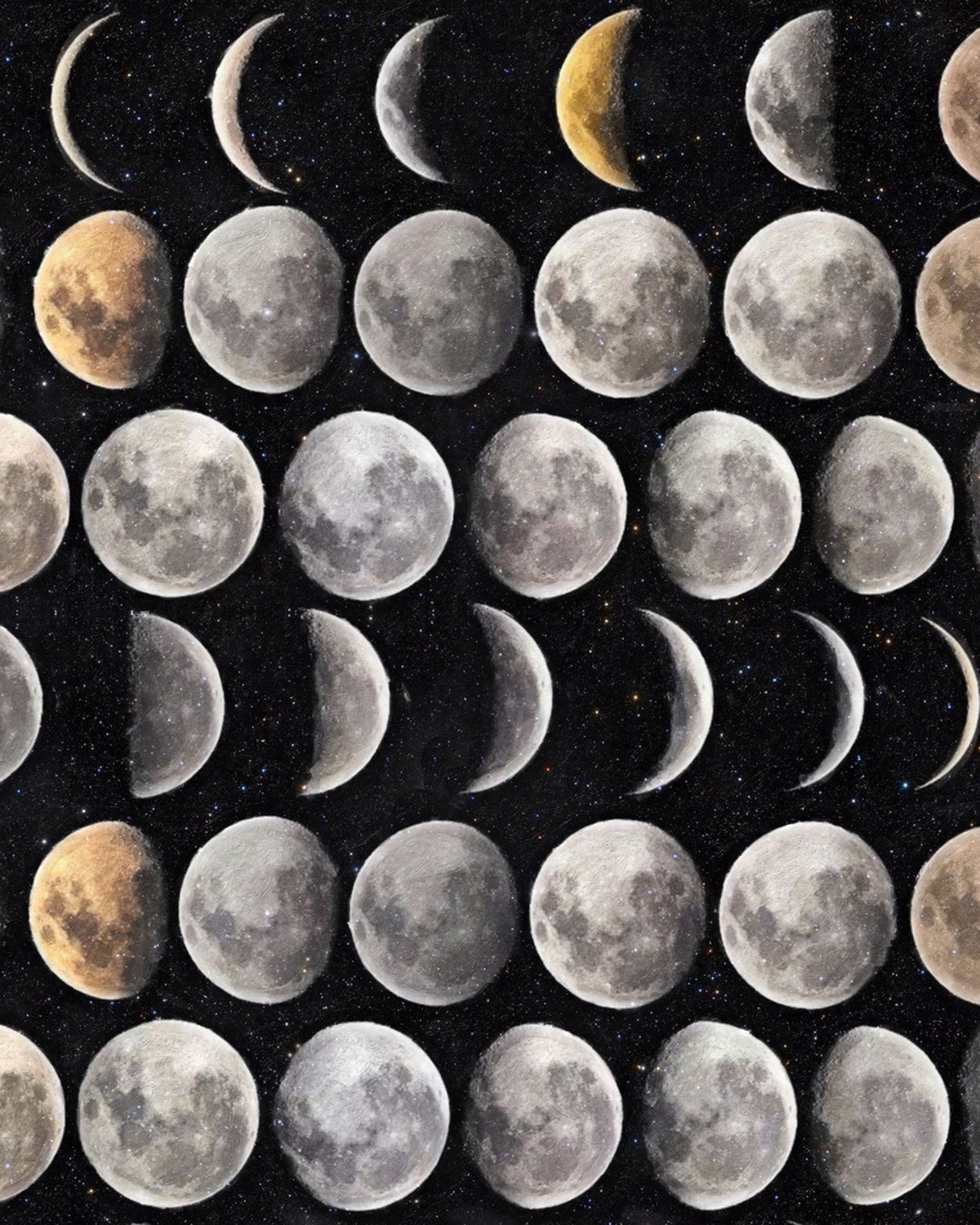 Moon Phases