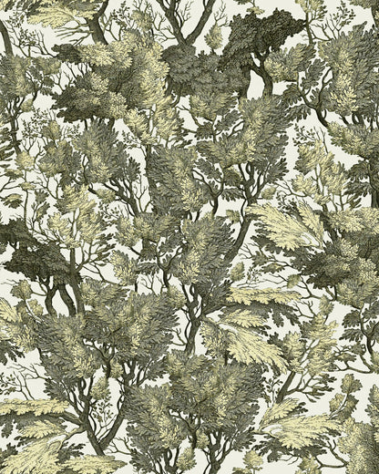 Tree Foliage
