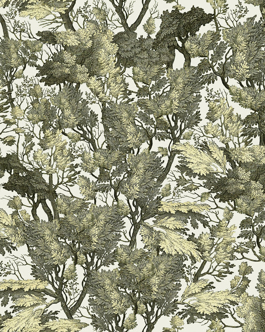 Tree Foliage