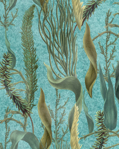 Aquatic Plants Aquamarine